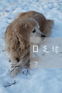 憑支付寶回單能否起訴他人？安全性如何？